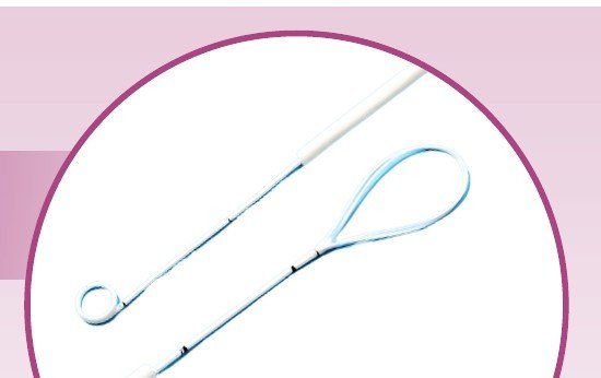 Stent Loop